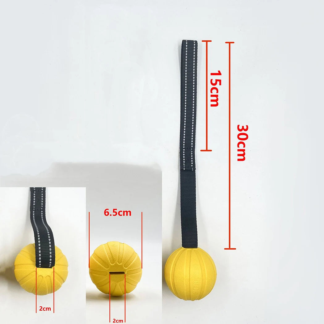 Tug-of-War Floating Dog Ball – Durable & Chew-Resistant Toy