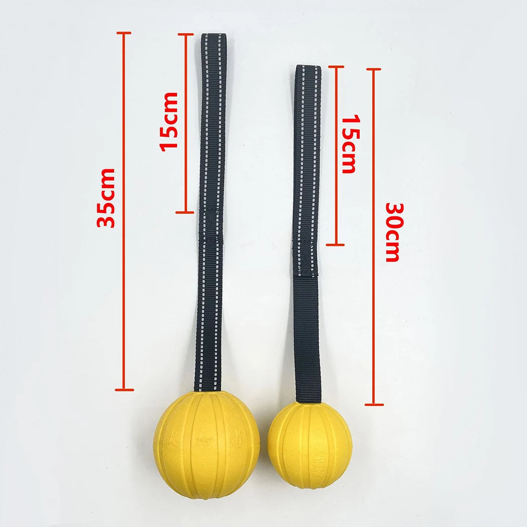 Tug-of-War Floating Dog Ball – Durable & Chew-Resistant Toy
