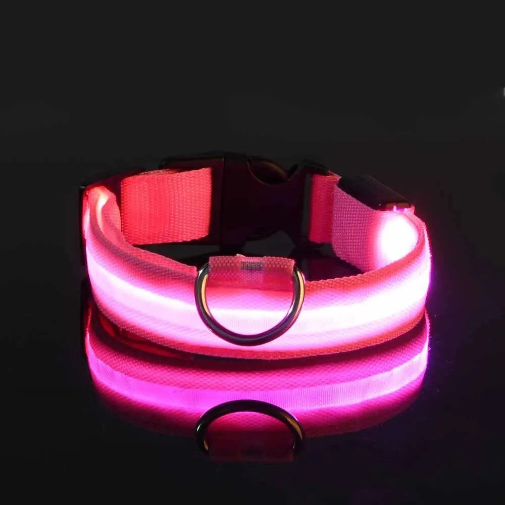 Led Dog Collar – Glow-in-the-Dark -Dog Safety Collar