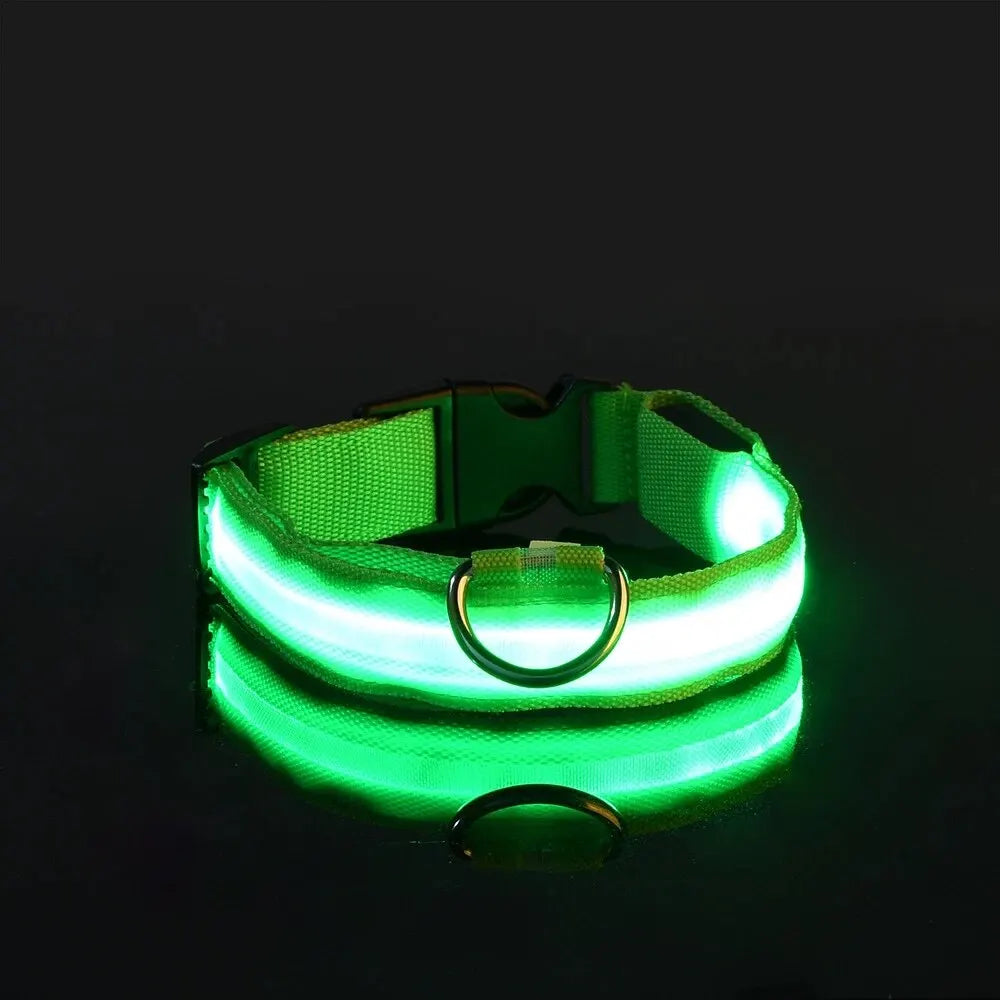 Led Dog Collar – Glow-in-the-Dark -Dog Safety Collar