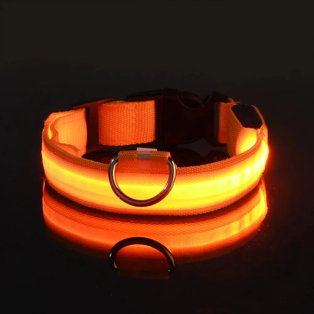 Led Dog Collar – Glow-in-the-Dark -Dog Safety Collar