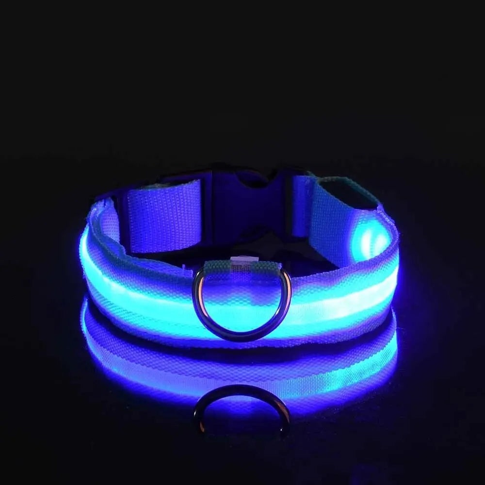 Led Dog Collar – Glow-in-the-Dark -Dog Safety Collar