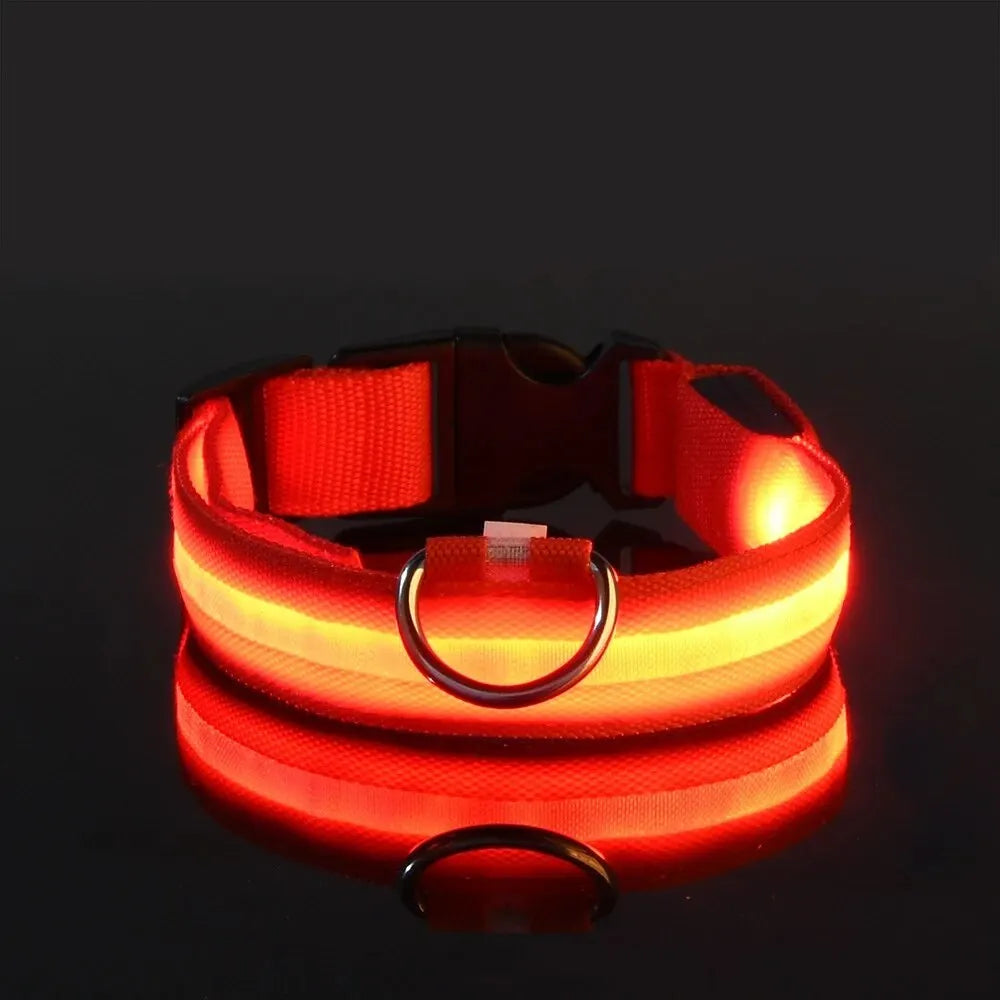 Led Dog Collar – Glow-in-the-Dark -Dog Safety Collar