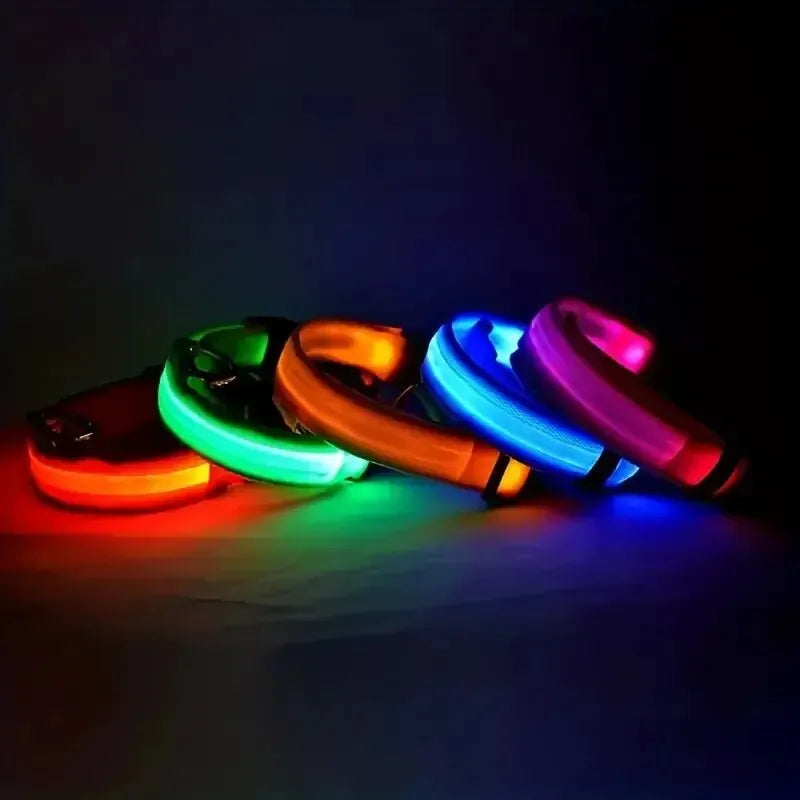 Led Dog Collar – Glow-in-the-Dark -Dog Safety Collar