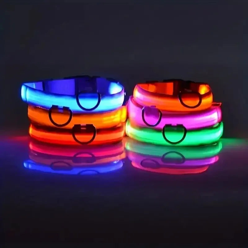 Led Dog Collar – Glow-in-the-Dark -Dog Safety Collar