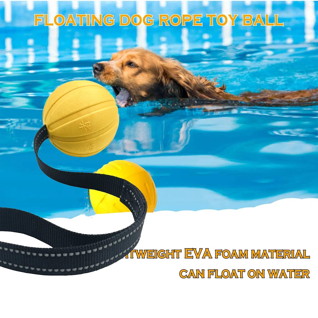 Dog Playing with theChew-resistant dog toy designed for tug-of-war and water play