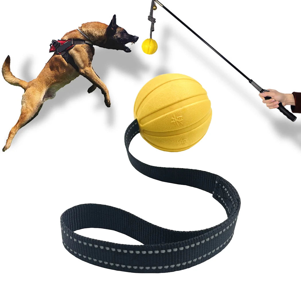 Dog Jumping to Reach the Chew-resistant dog toy designed for tug-of-war and water play