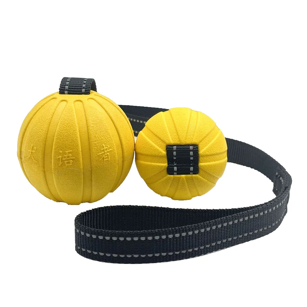 Tug-of-War Floating Dog Ball – Durable & Chew-Resistant Toy