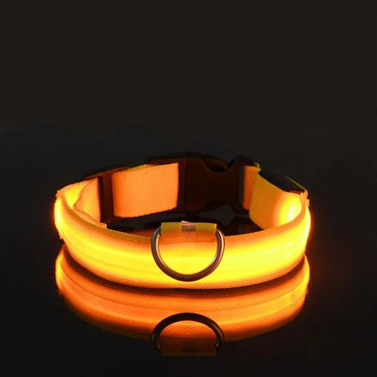 Led Dog Collar – Glow-in-the-Dark -Dog Safety Collar