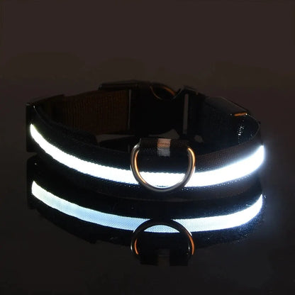 Led Dog Collar – Glow-in-the-Dark -Dog Safety Collar