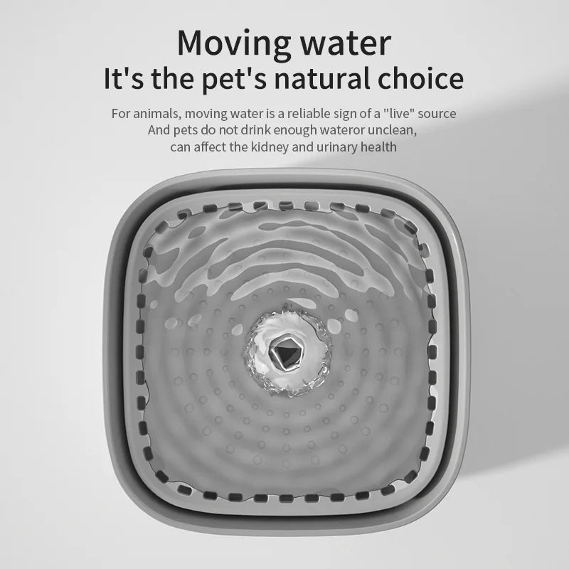 3L Cat Water Fountain – Quiet, Filtered & Auto Recirculating