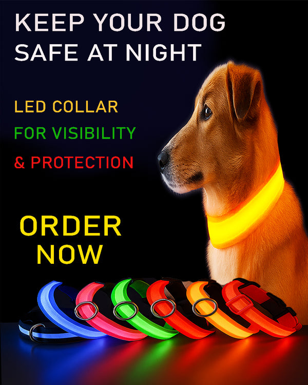 Flashing LED glow-in-the-dark dog leash and collar for nighttime safety-Nylon luminous fluorescent dog collar for improved night visibility