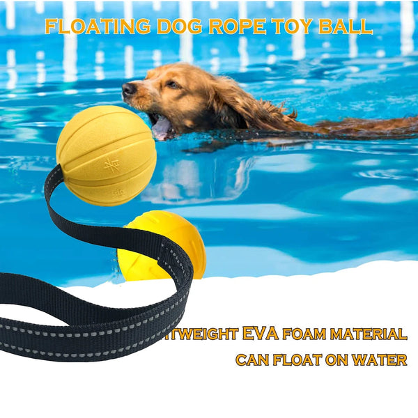 Dog Playing with theChew-resistant dog toy designed for tug-of-war and water play