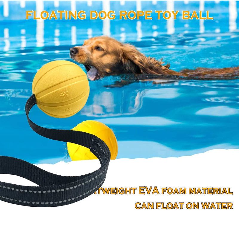 Dog Playing with theChew-resistant dog toy designed for tug-of-war and water play