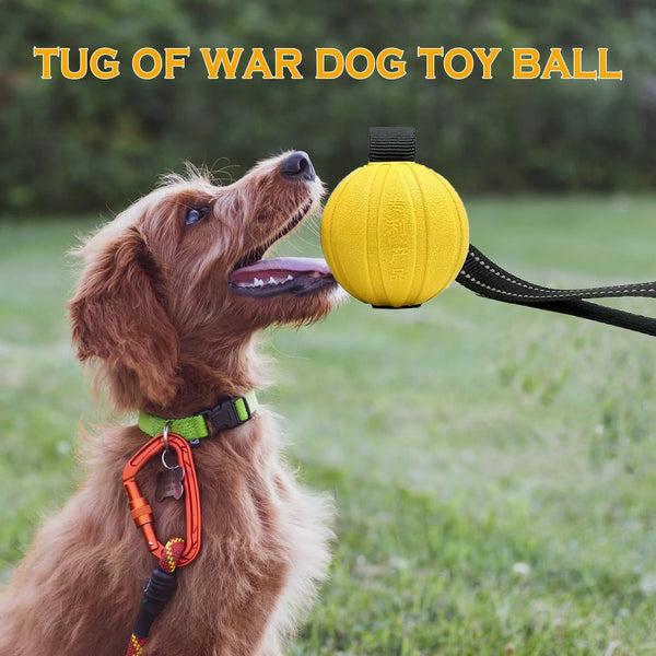 Dog Playing happy with the Chew-resistant dog toy designed for tug-of-war and water play