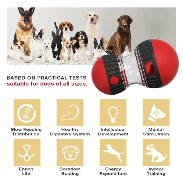 Interactive dog puzzle toy, suitable for of all sizes.