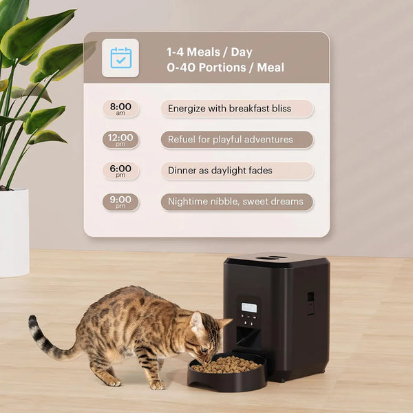 Timed automatic pet food dispenser for cats and dogs-1