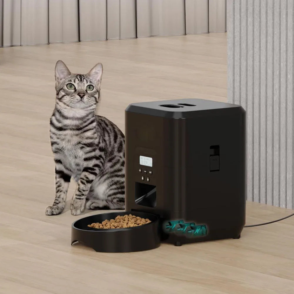 Timed automatic pet food dispenser for cats and dogs