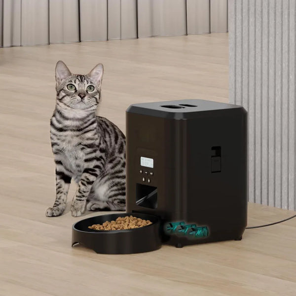 Timed automatic pet food dispenser for cats and dogs